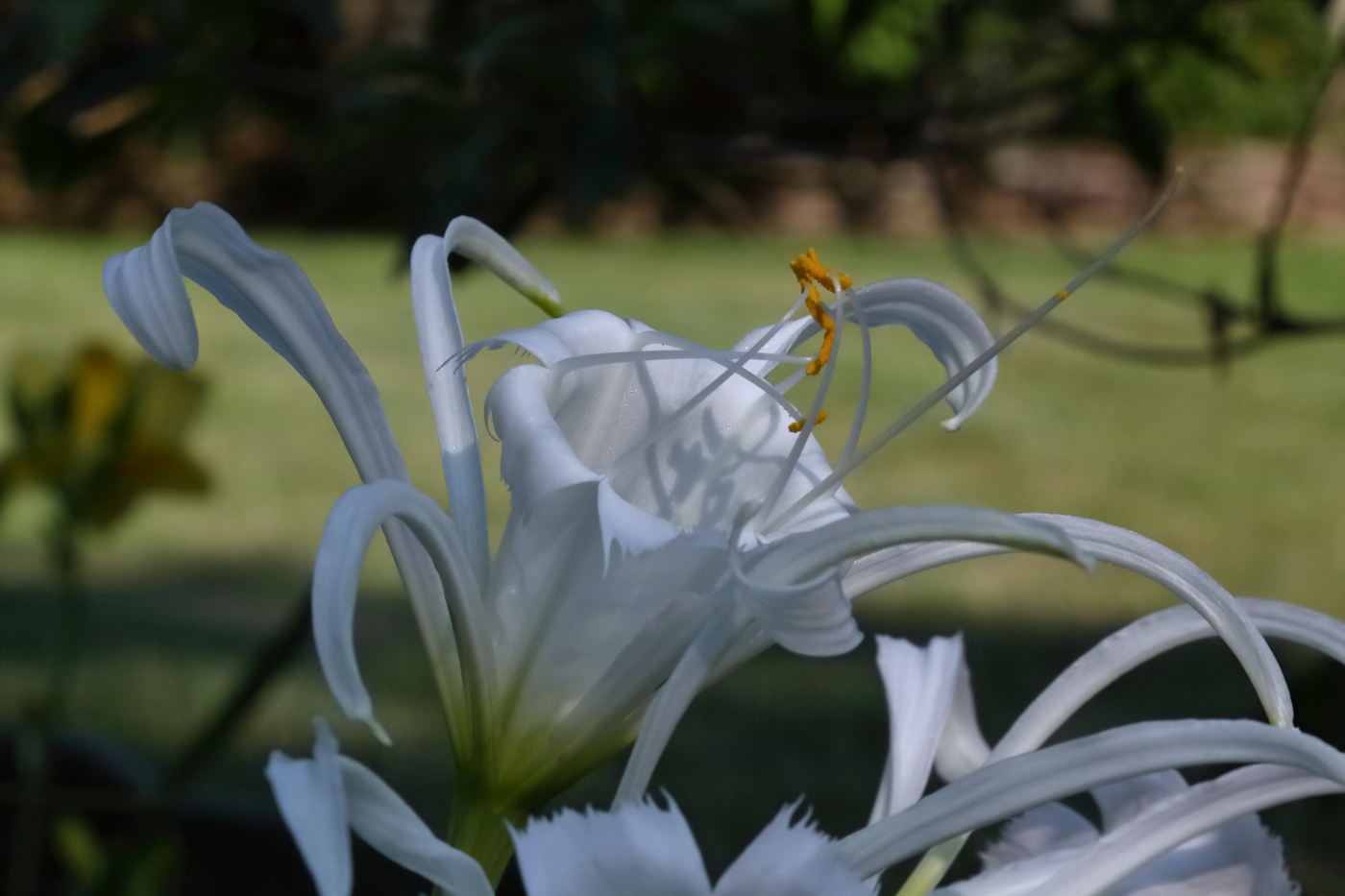 2011 06 15 IMG 33180e